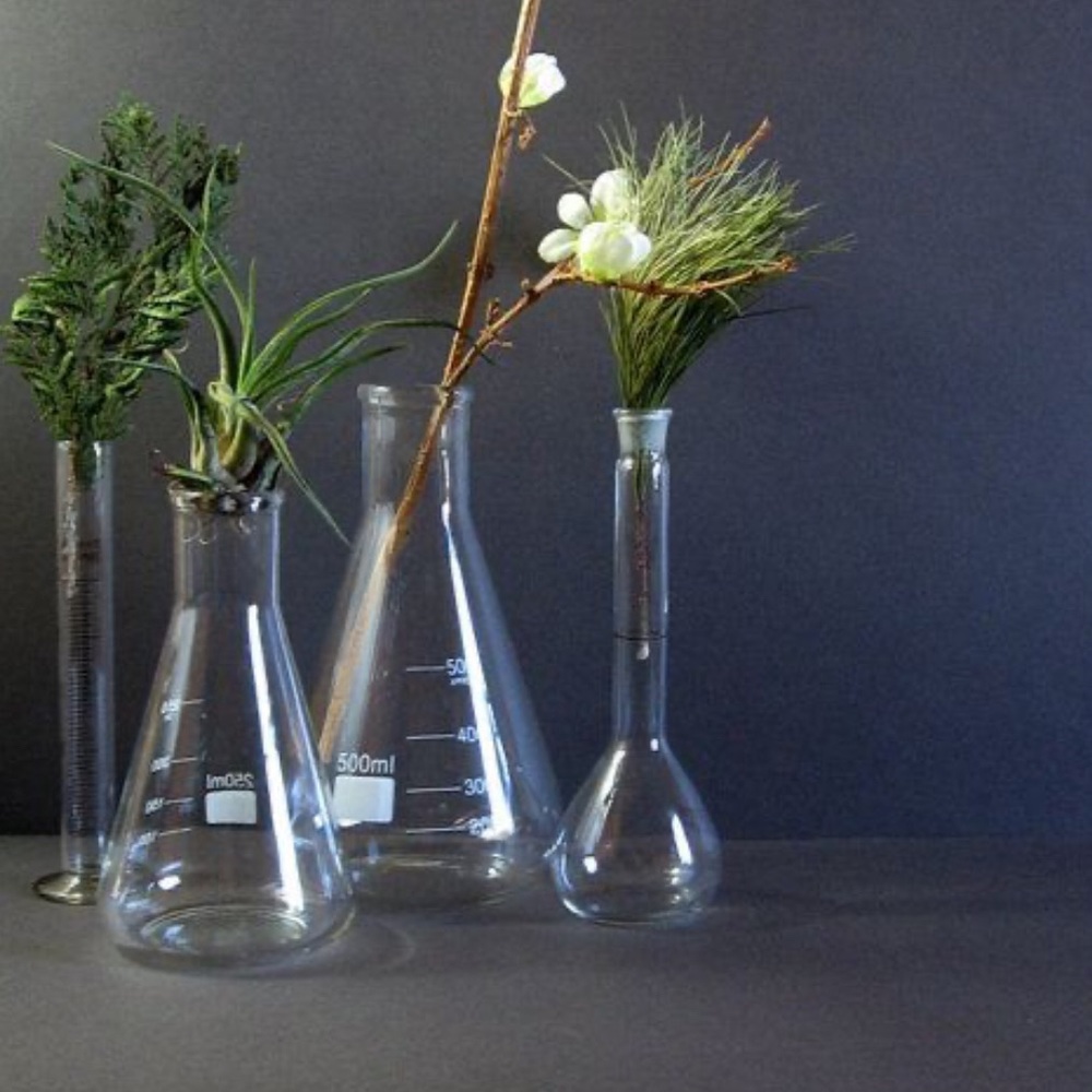 Set of Pyrex Lab Glass Beakers-check out my other listing-shot glasses/bud jars